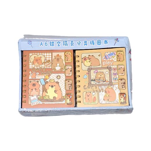 یادداشت فانتزی کاپی بارا دیوایدر دار سیم طلایی کد 1119 8-5