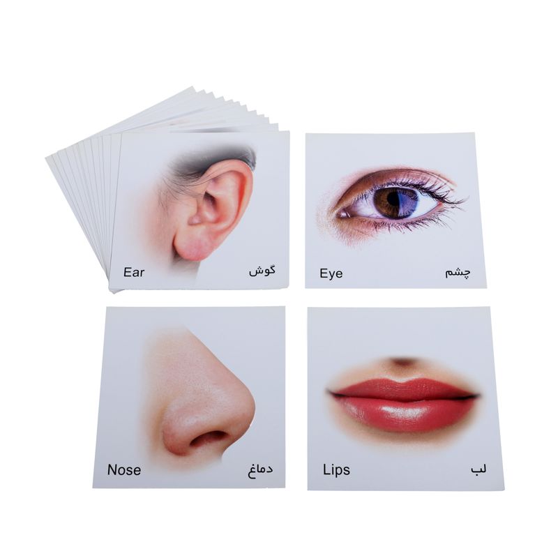 کارت پازل آموزشی اعضای بدن